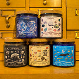 Aromachology / Butterflies and Moths / Lavender and Garden Herbs