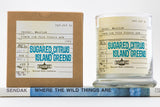 Pick Two - Banned Books Collection
