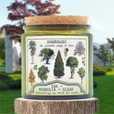 Aromachology / Trees / Oak, Magnolia, Cedar