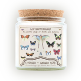 Aromachology / Butterflies and Moths / Lavender and Garden Herbs