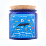 Aromachology / The Ocean / Driftwood, Beach Grass, Sea Minerals