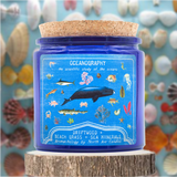 Aromachology / The Ocean / Driftwood, Beach Grass, Sea Minerals