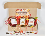 Harvest Box / Apple, Pumpkin, Yam autumn candle set