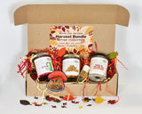 Harvest Box / Apple, Pumpkin, Yam autumn candle set