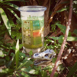 The Excavation Candle / Dinosaur Candle / Treasure Candle