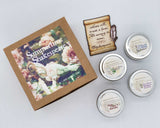 Summer Shakespeare Box Set