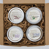 Summer Shakespeare Box Set