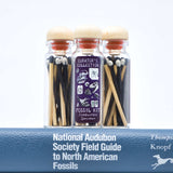 Matchstick Vials / Dinos and Fossils / Black and White Matches