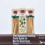 Matchstick Vials / Trees and Birds / Green and Brown Matches