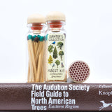 Matchstick Vials / Trees and Birds / Green and Brown Matches