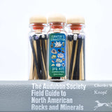 Matchstick Vials / Gems / Light and Dark Black and Lavender Matches