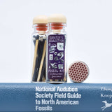 Matchstick Vials / Dinos and Fossils / Black and White Matches