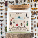Aromachology / Bugs / Moonflower Nectar and Sugared Citrus